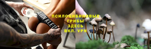 тгк Арсеньев