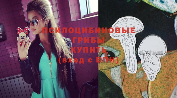 тгк Арсеньев