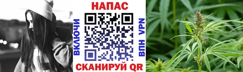 Шишки марихуана конопля  Купить  Удомля 